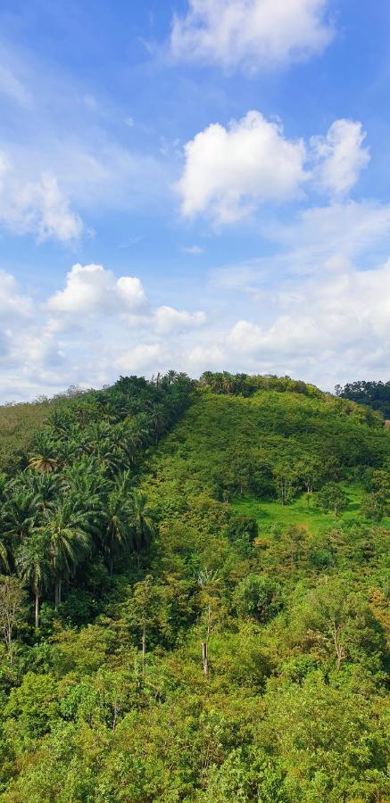 Klia Ehsan Residence Sepang Nilai Greenery 8 Pax Air-Con Esterno foto
